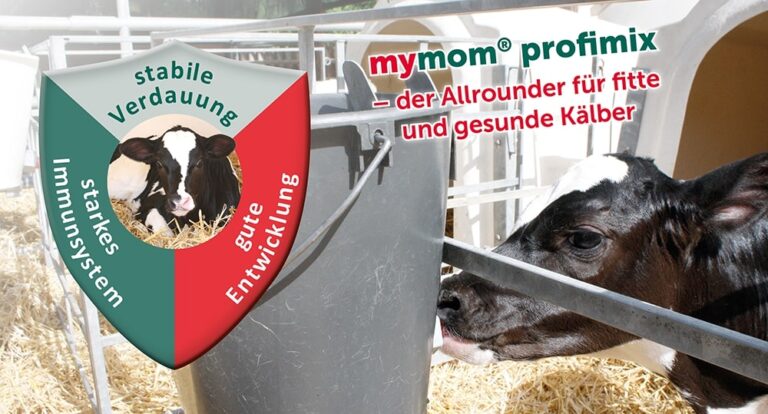 Kalb trinkt aus einem Nuckeleimer; darüber Schild/Grafik mit Text: ‚Stabile Verdauung, starkes Immunsystem, gute Entwicklung – mymom profimix, der Allrounder für fitte und gesunde Kälber