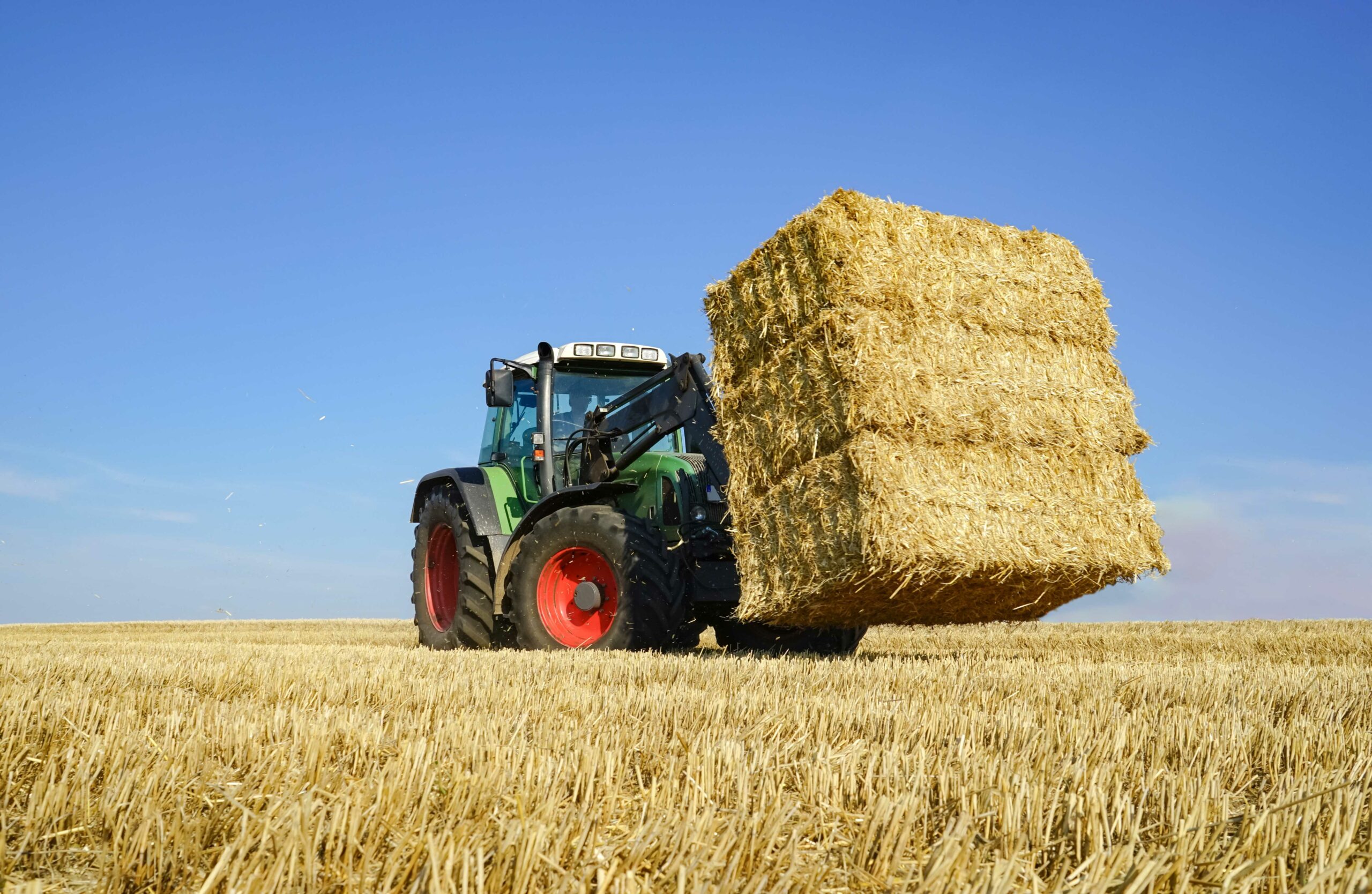 Drei Strohquaderballen, übereinander gestapelt, auf der Frontgabel eines Traktors, bereit zum Transport