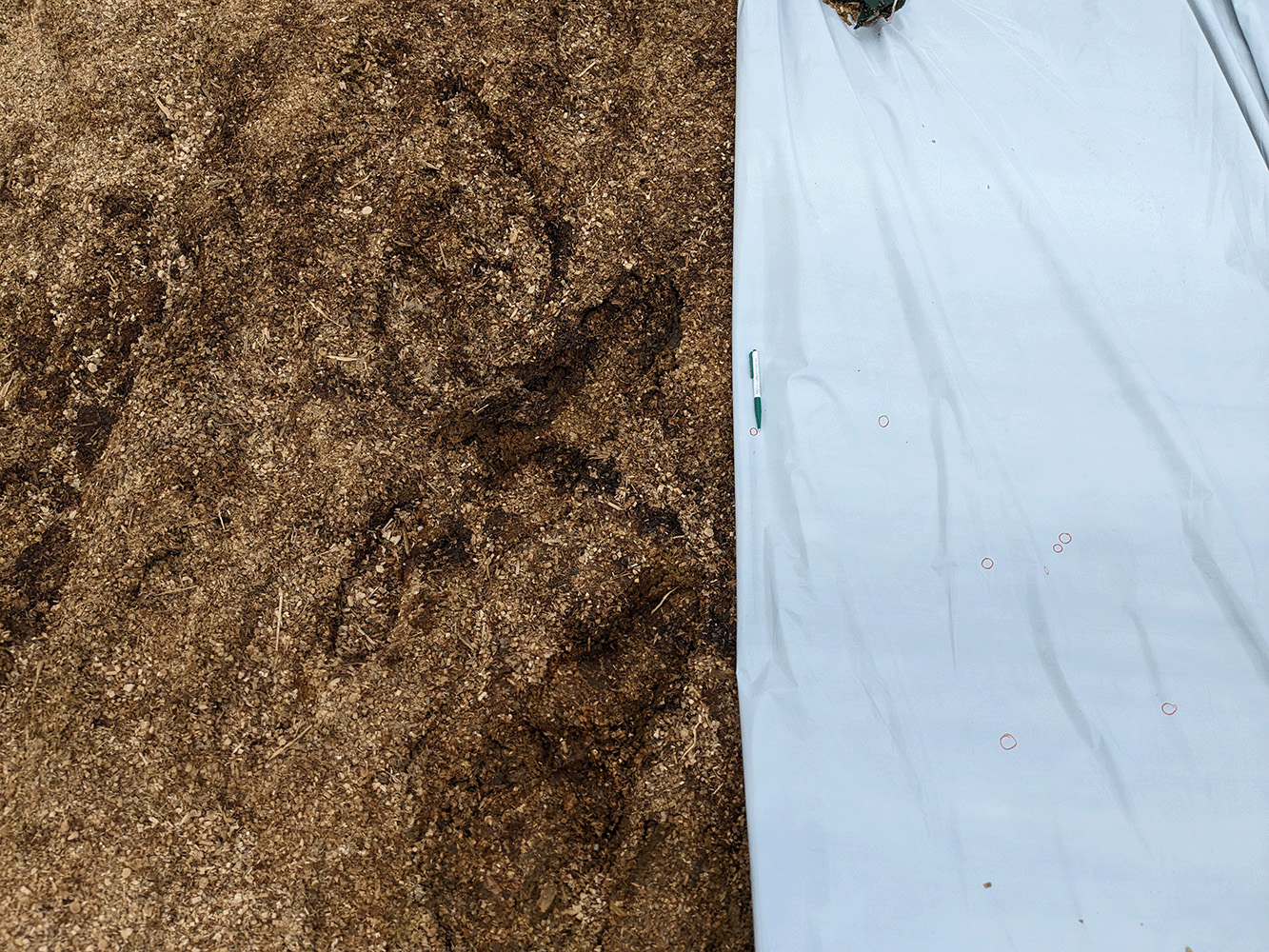 Nahaufnahme einer halb aufgedeckten weißen Silofolie, auf der zahlreiche Löcher durch rote Kreise hervorgehoben sind