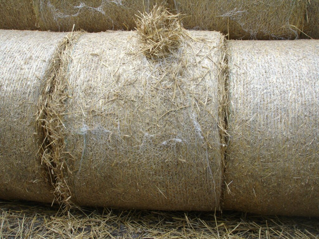 Mehrere gestapelte Rundballen, wo das Rundballennetz bei dem Ballen in der Mitte geplatzt ist.