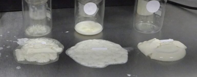 Drei Milchaustauscher-Varianten: links dickflüssig wie Quark, Mitte flüssig wie Joghurt, rechts fest wie Pudding; alle cremig weiß