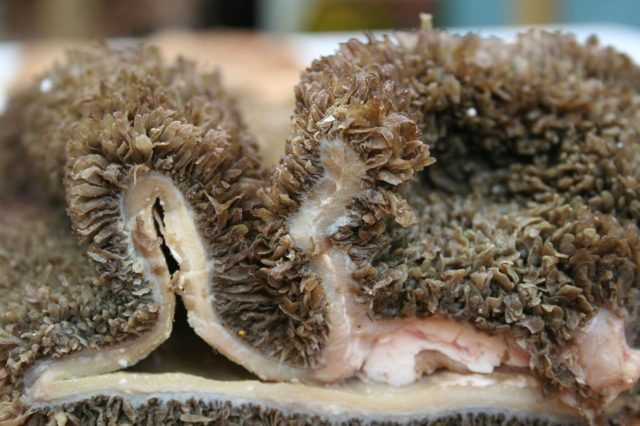 Nahaufnahme von aufgeschnittenen Pansenzotten, um die Struktur zu zeigen