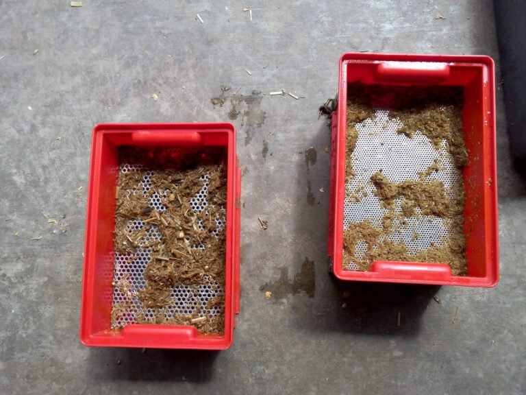 Zwei rote Siebe mit Faserresten darin