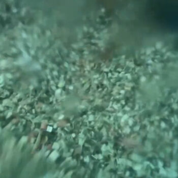 Produktvideo 2