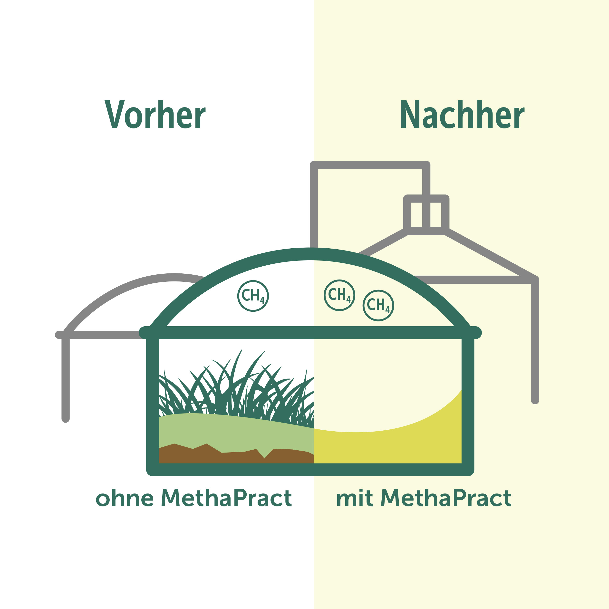 MethaPract graphic