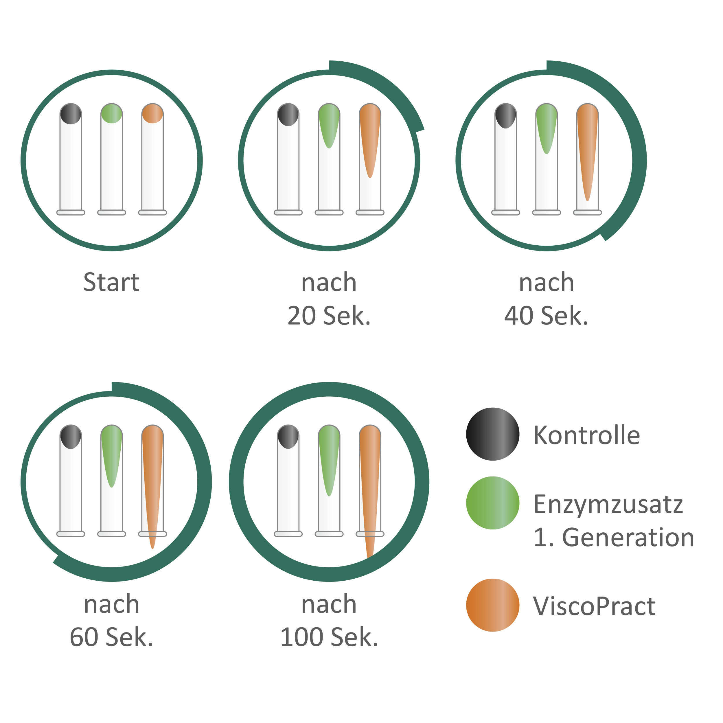ViscoPract graphic