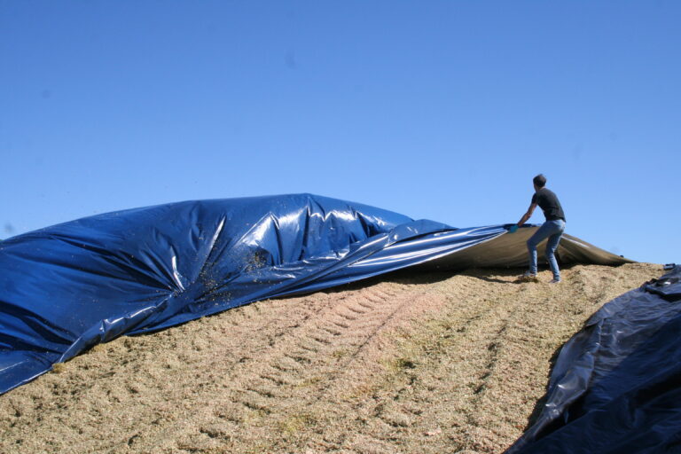Folie verlegen oxy 90